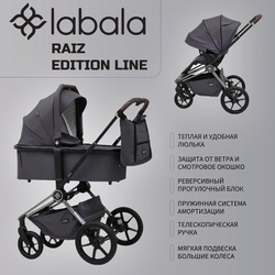 Коляска 2 в 1 Labala Raiz Edition Line 2025 Anthrazit