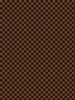 Наволочка комплект 2шт Сказка "Roger" 70х70 см, поплин