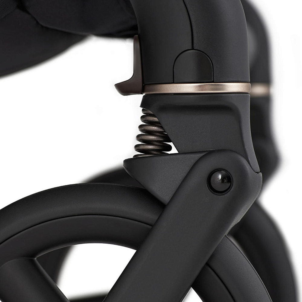 Детская коляска Anex iQ Premium NT 2 в 1 iQ-13-DNA seal