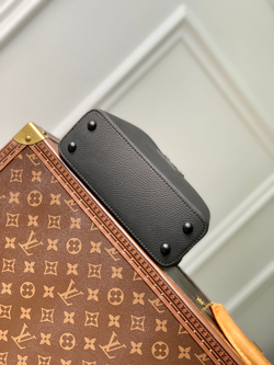 Louis Vuitton Capucines Mini