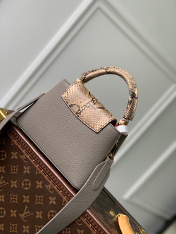Louis Vuitton Capucines Mini