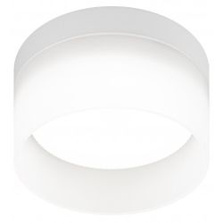 Светильник настенно-потолочный спот ЭРА OL30 WH GX53 белый