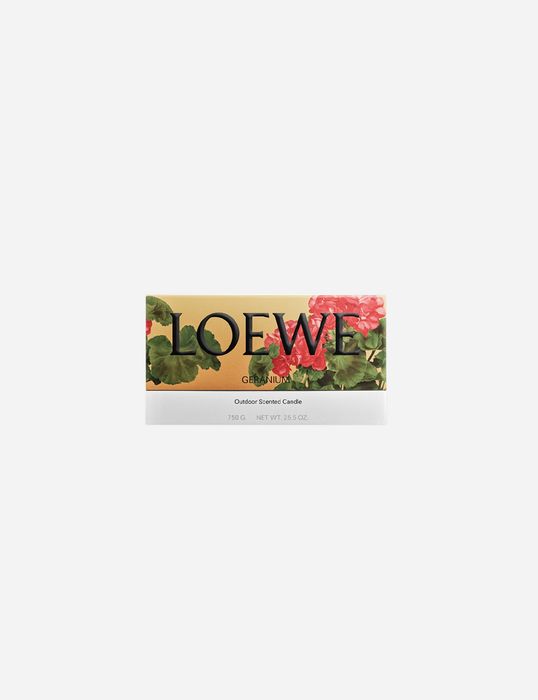 Свеча Loewe 