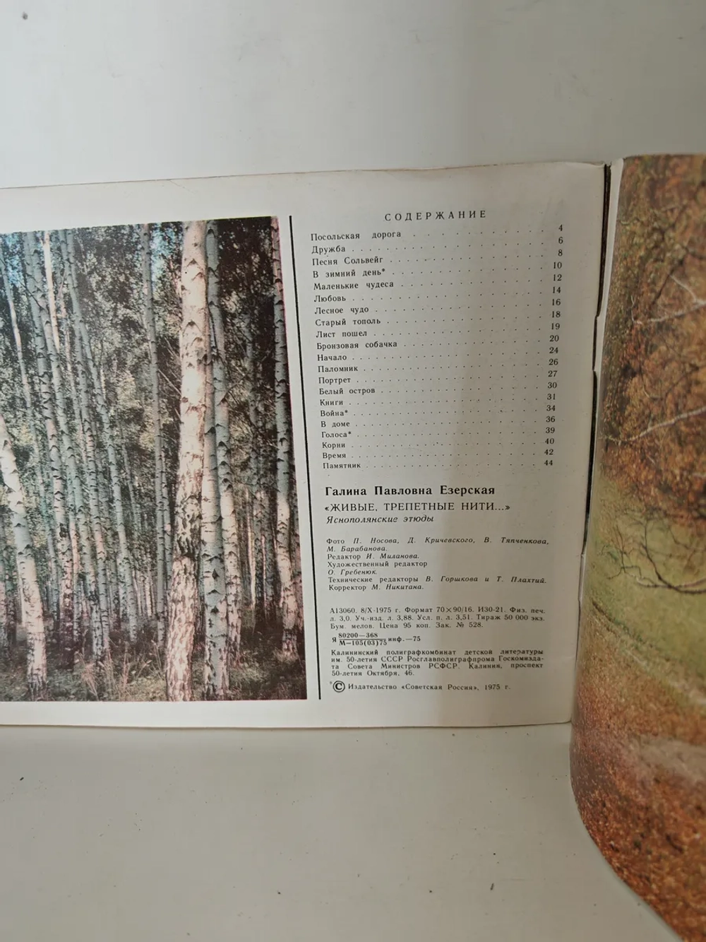 Живые, трепетные нити… Яснополянские этюды