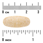Swanson Vitamins, сжигатель жира, 60 веганских таблеток