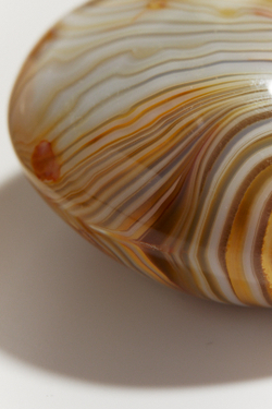 Сердолик палмстоун