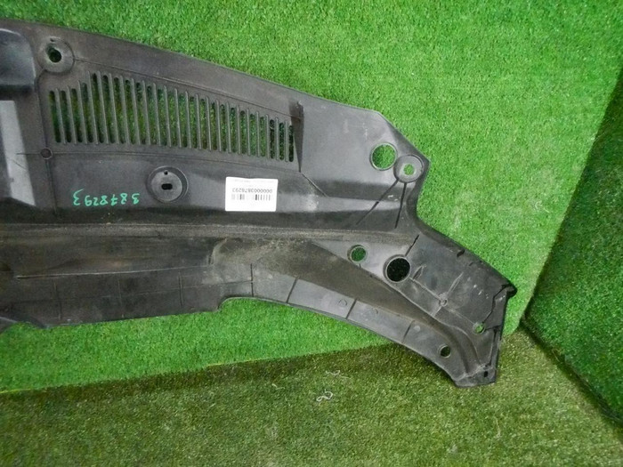 DSCN8806.jpg