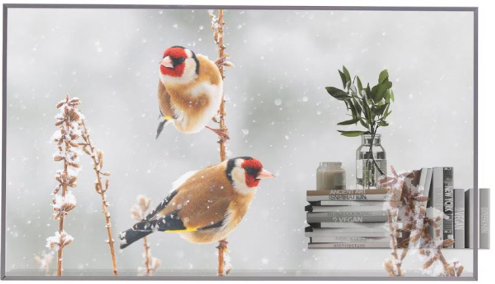 Панель LCD LG 55EW5P-M