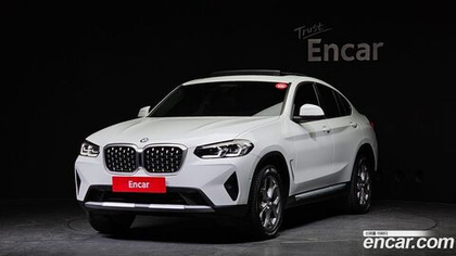 BMW X4 (G02) xDrive20i xLine (01.2023)