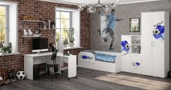 Шкаф для одежды Трио ШК-09 Король спорта