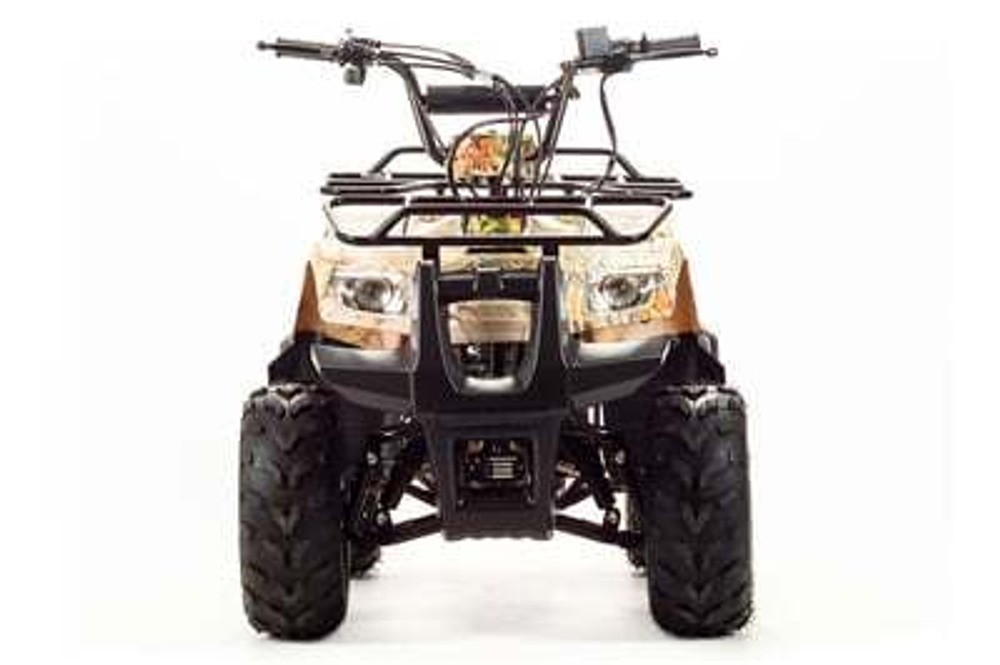 Квадроцикл MOTOLAND 110 RIDER (2021 Г.)