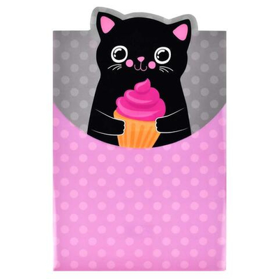 Папка д/тетрадей на липучке А4 "Кот" пластик (Феникс+)