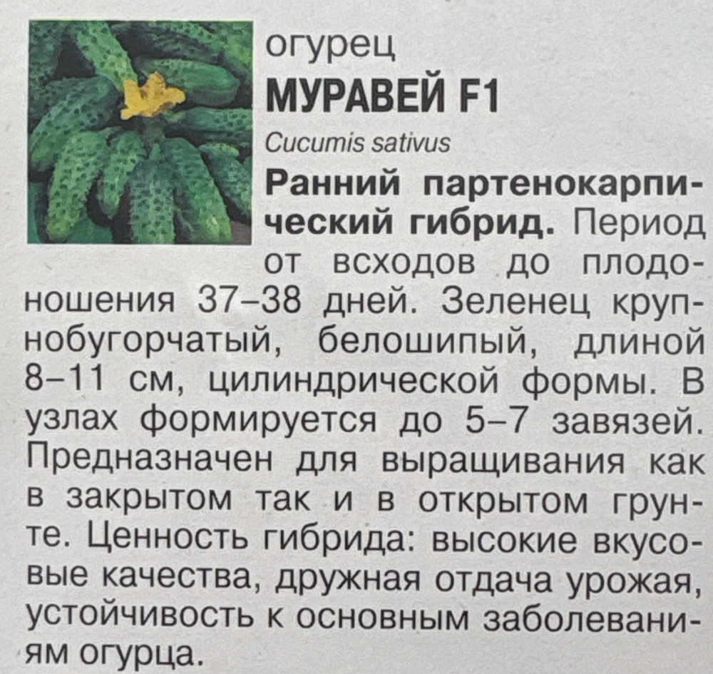 Огурец Муравей , 0,25г., Урожай Удачи СМО-158