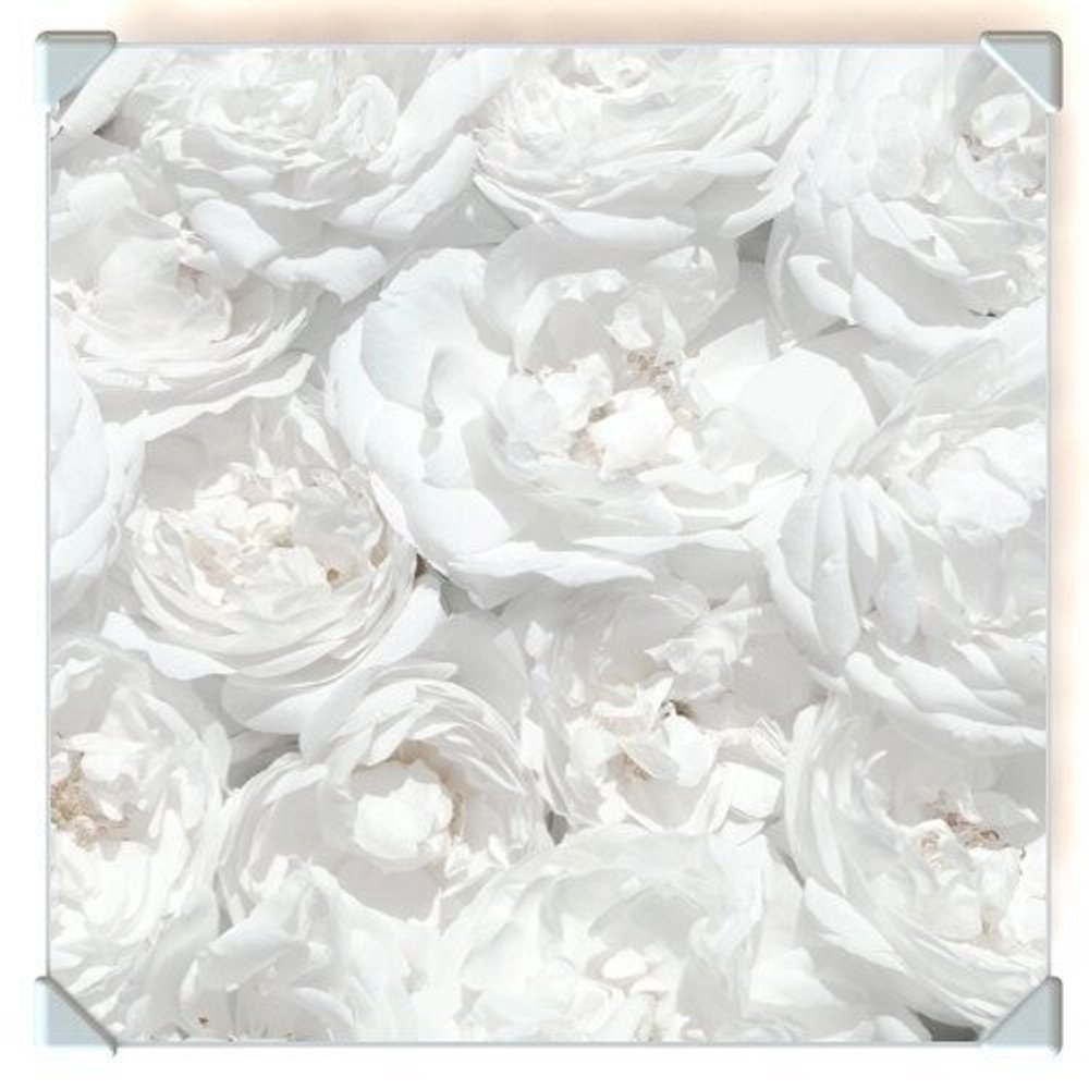 Столешница белая 5