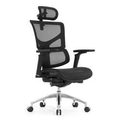 Кресло EXPERT 2 SAIL- ART SAS-M01 (подлокотник 6D(360), подголовник 5D, сетка черная / каркас черн)