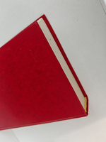 Набат: Роман