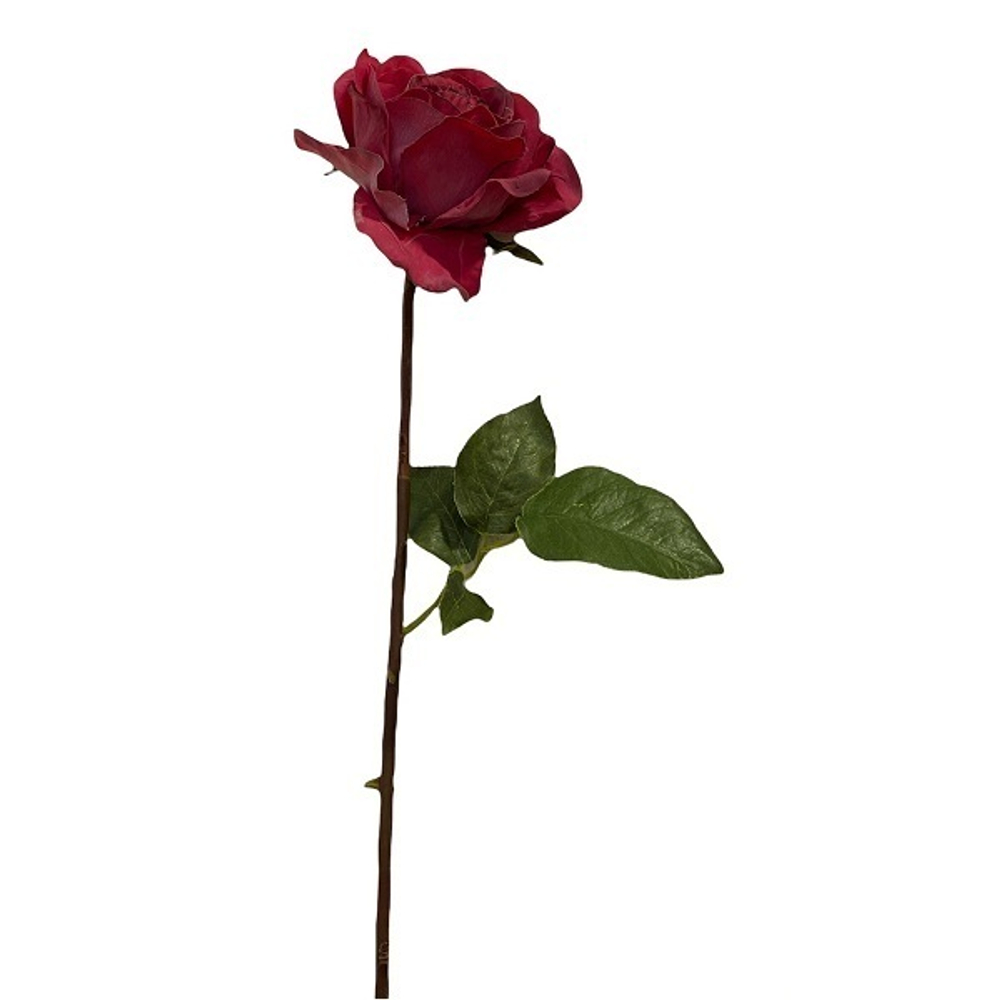 Роза фуксия  [Арт. TSF00432]