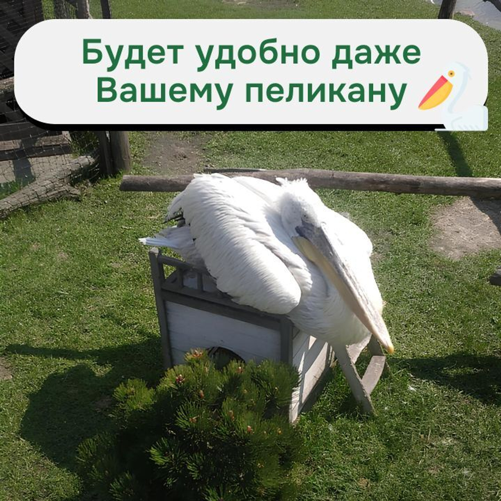 Домик для кошки Вальди из массива сосны