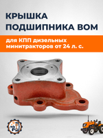 ПТ491