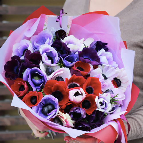 Купить Анемоны микс от 9шт