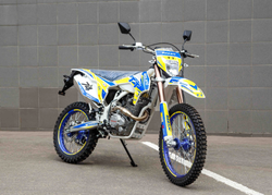 Мотоцикл Motoland TT250 (172FMM) с ПТС