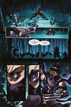 Shadow Fight comics (1-2)
