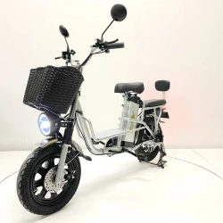 Электровелосипед Green Camel Транк Монстр (R16FAT 500W 48V15Ah) гидравлика