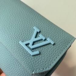 Louis Vuitton Aerogram Pilot Wallet
