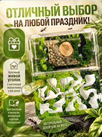 Ферма «Мох» + Колония муравьев «Макси» + Микс корма