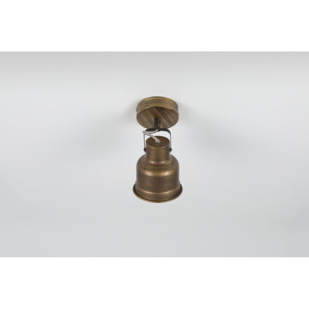 Светильник настенно-потолочный спот Rivoli Inessa 7035-701 поворотный 1 х Е27 40 Вт