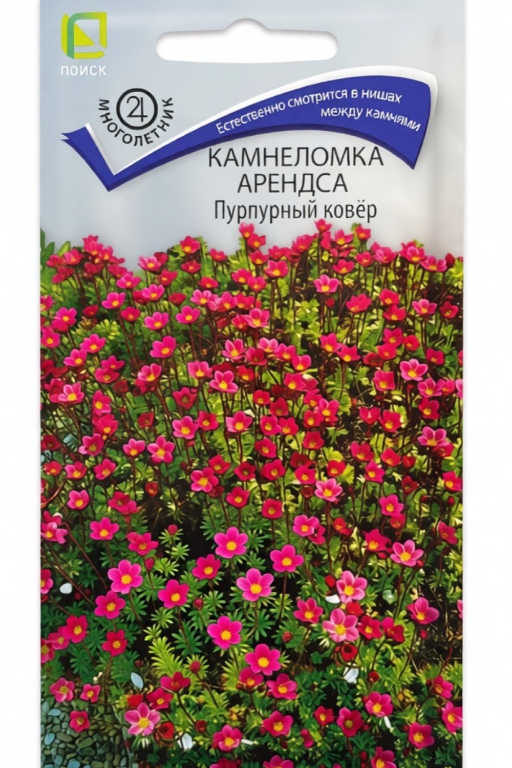 Камнеломка Арендса Пурпурный ковер 0,01 г СМЦ-41