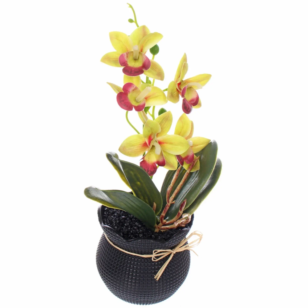Цветочная композиция «Орхидея» 10*28см салатовая в пластиковом горшке