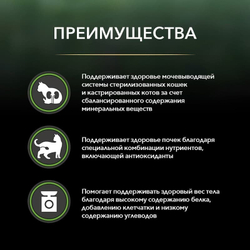 преимущества