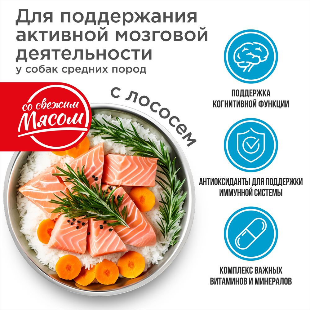 Корм сухой для взрослых собак средних пород, премиум полнорационный комплекс, забота о памяти и мозговой активности, с лососем, 2,5 кг, QUATTRO