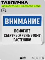 Табличка для обеспечения безопасности "Внимание, помогите сберечь жизнь этому растению", для офиса, по охране труда для предприятия, организаций, 40х30 см, Silver Plane x Айдентика Технолоджи
