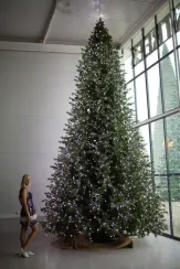 Интерьерная светодинамическая искусственная елка Сказочная Премиум 7,5 м., ствольная, Литая хвоя+ПВХ, Green Trees (GT7,5SKLED)