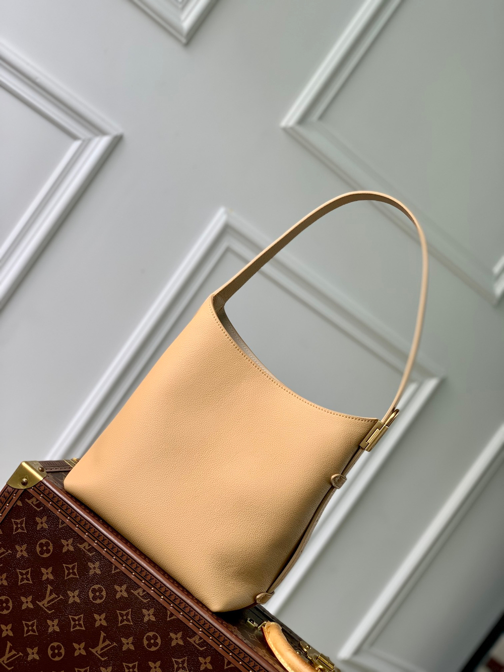 Louis Vuitton Low Key Hobo PM