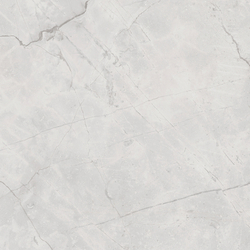 Connect Gris Керамогранит серый SG619922R 60х60 полированный
