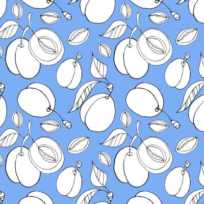 Сливы. Контурное изображение на голубом фоне.