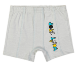 Трусы для мальчиков р. 116 серый T28KLP-6/10 (Takro), 1 шт.