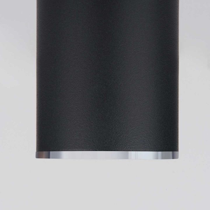Потолочный светильник Elektrostandard DLN101 GU10 BK черный a043971