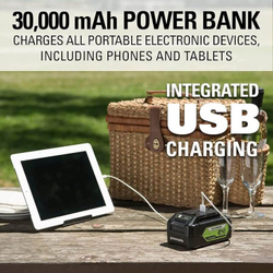 Аккумулятор с USB портом Greenworks G24USB4 24V 4 Ач (2939307)