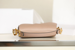 Christian Dior Saddle Bag 21 cm