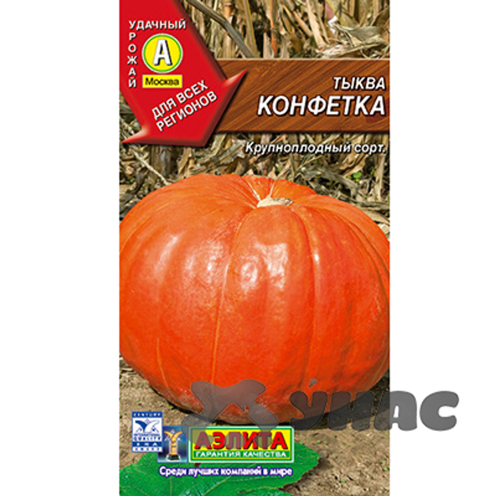 Тыква Конфетка Аэлита