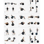 Фитбол Sportage полумассажный 75 см 1000гр ( с насосом), Фуксия