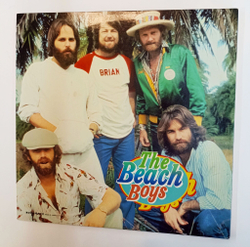 Винтажная виниловая пластинка LP Сборник The Beach Boys 2LP (Japan 1979)