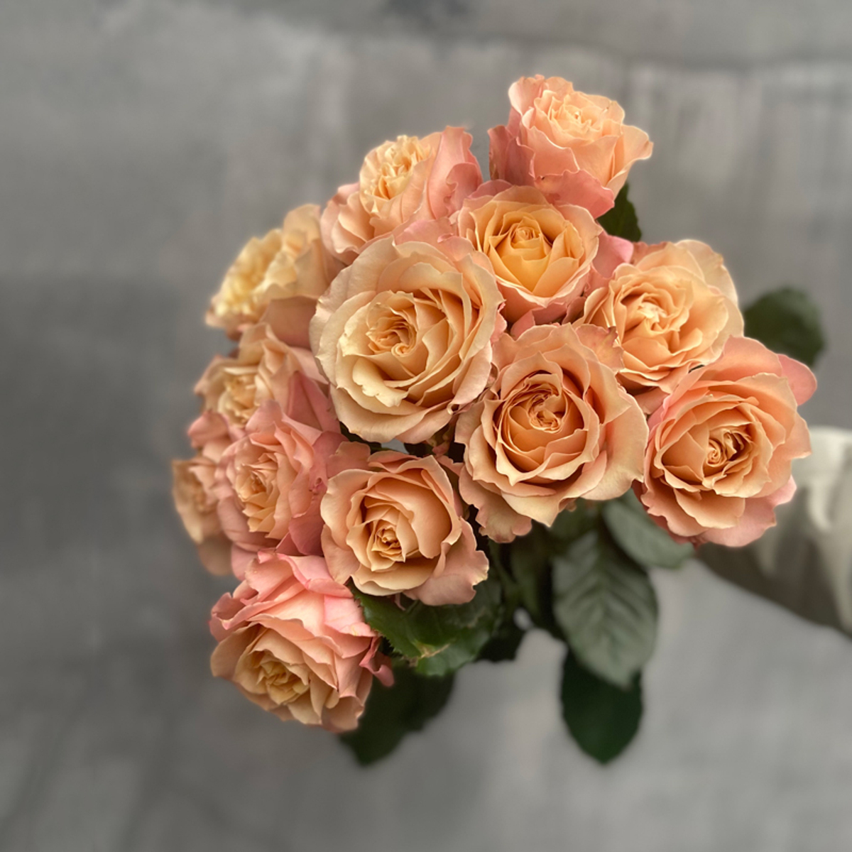 × 2 + 1 Сахара Сенсейшн — букет интерьерных роз