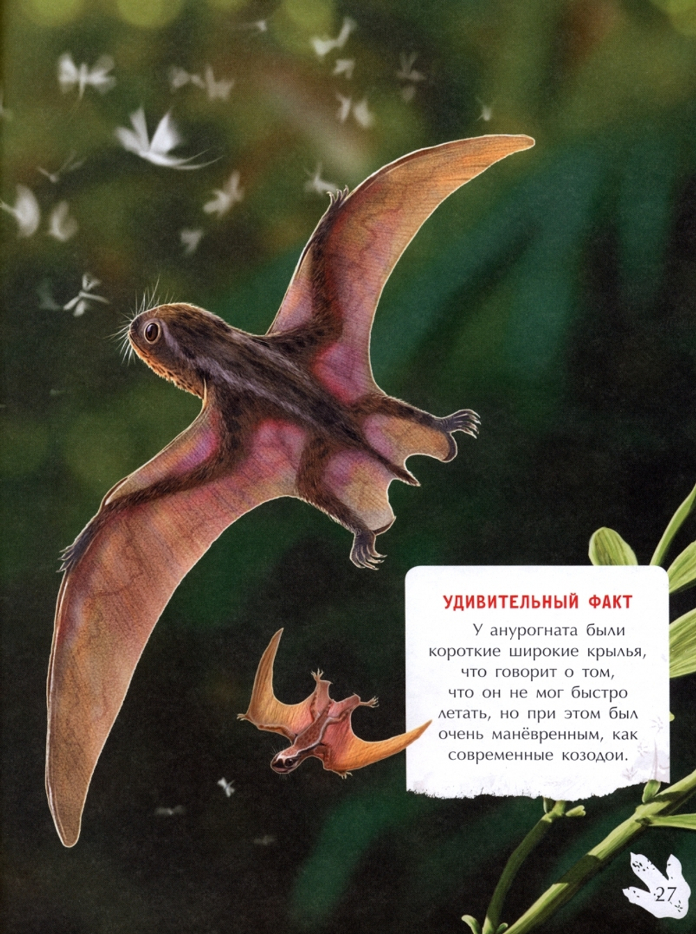 Летающие хищники. Динокнижки с наклейками