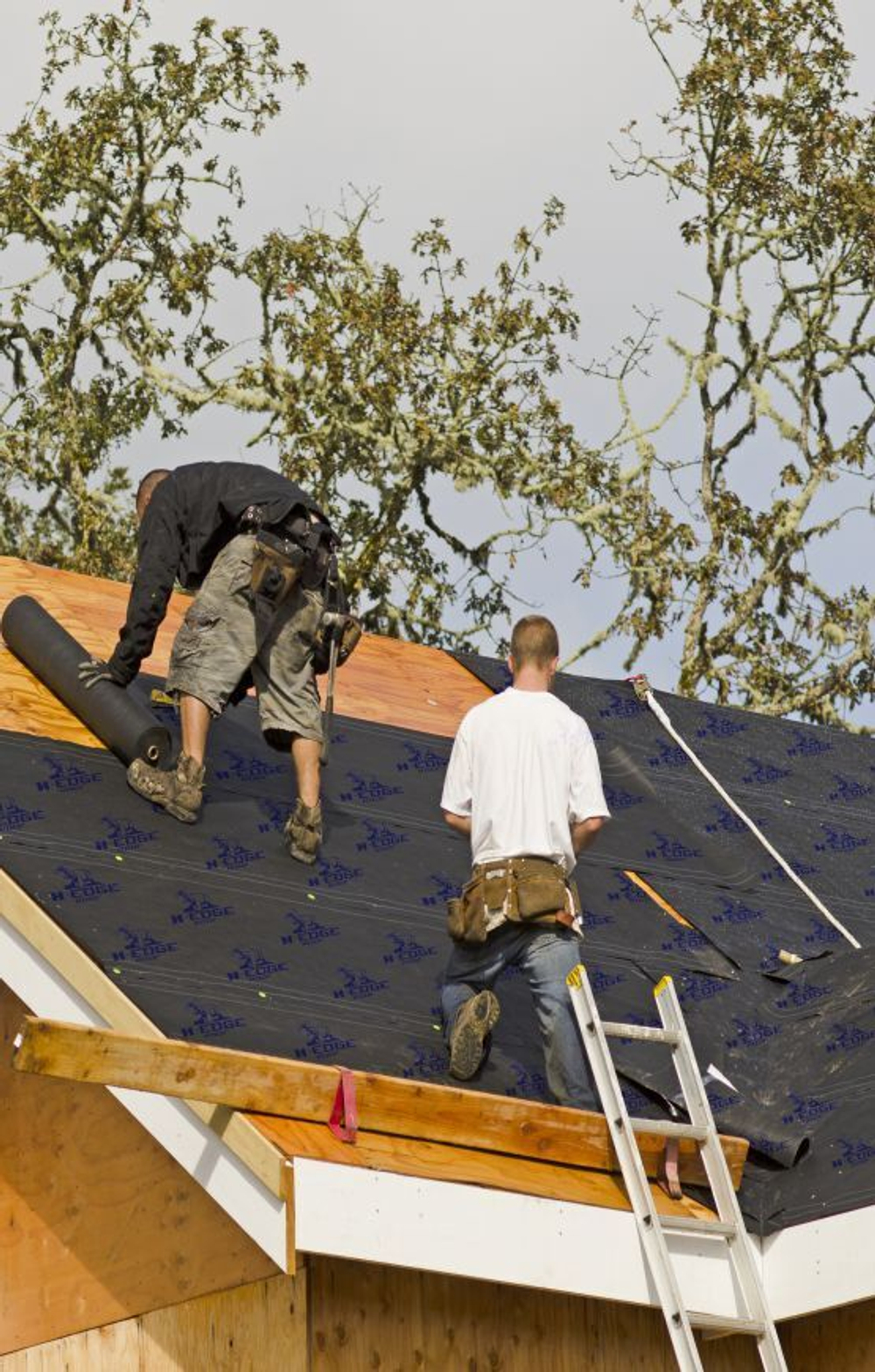 Кровельная мембрана HIPPO H-EDGE ROOF™