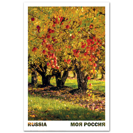 Золотые сады, Липецкая область